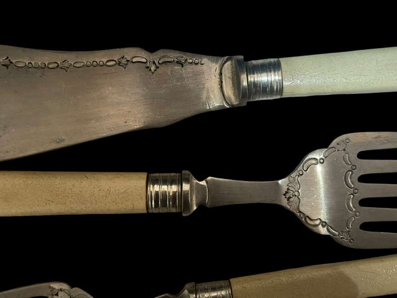 Cutlery set bone handled