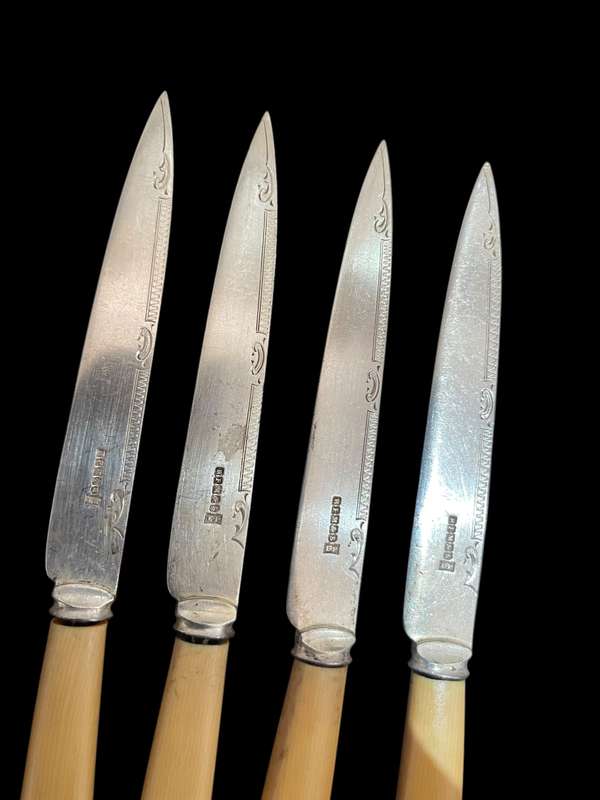 Knives bone handled(NR26)