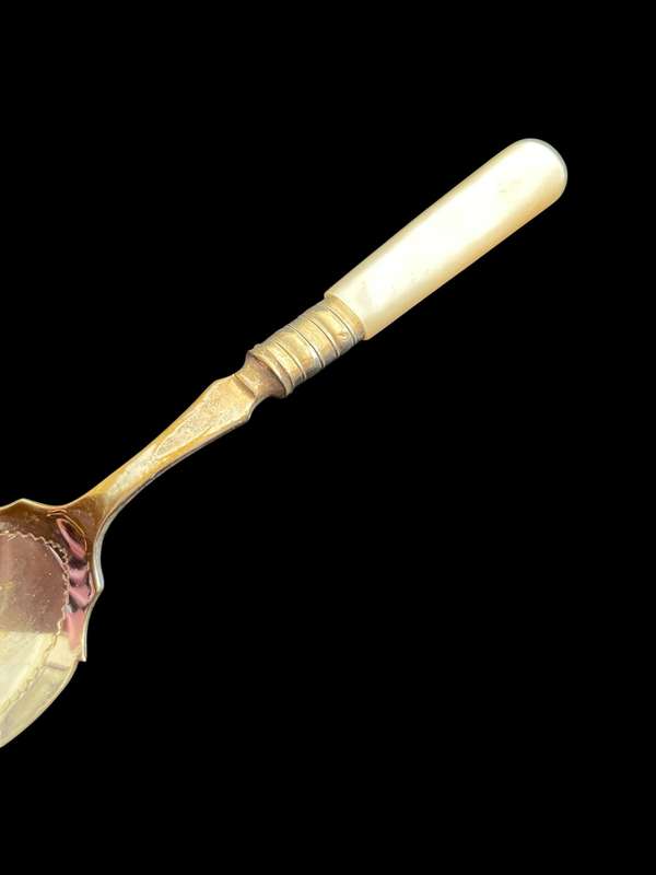 Jam/sugar spoon(NR2)