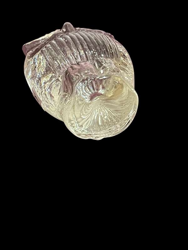 Ornament owl glass