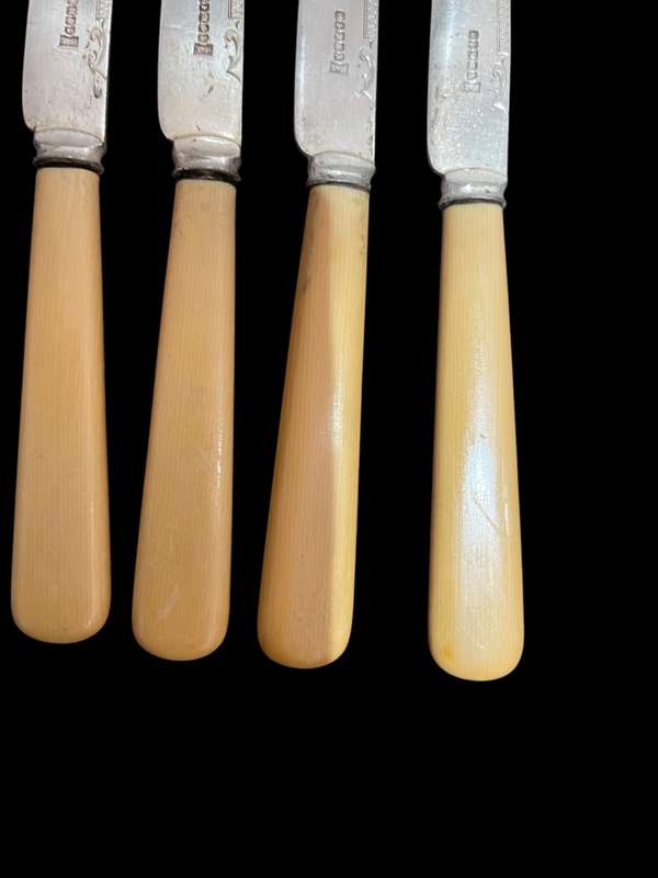 Knives bone handled(NR26)