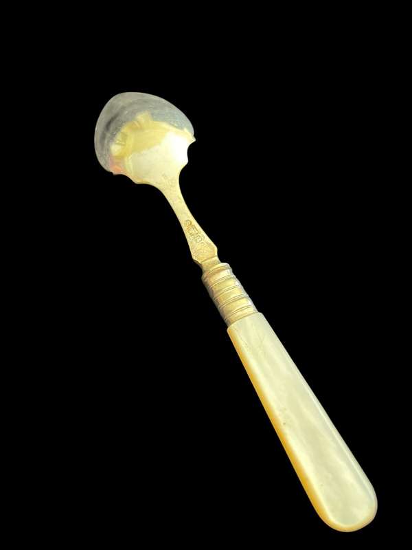 Jam/sugar spoon(NR2)