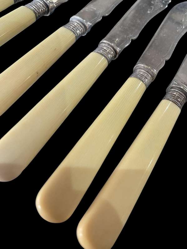 Knives bone handled(NR11)
