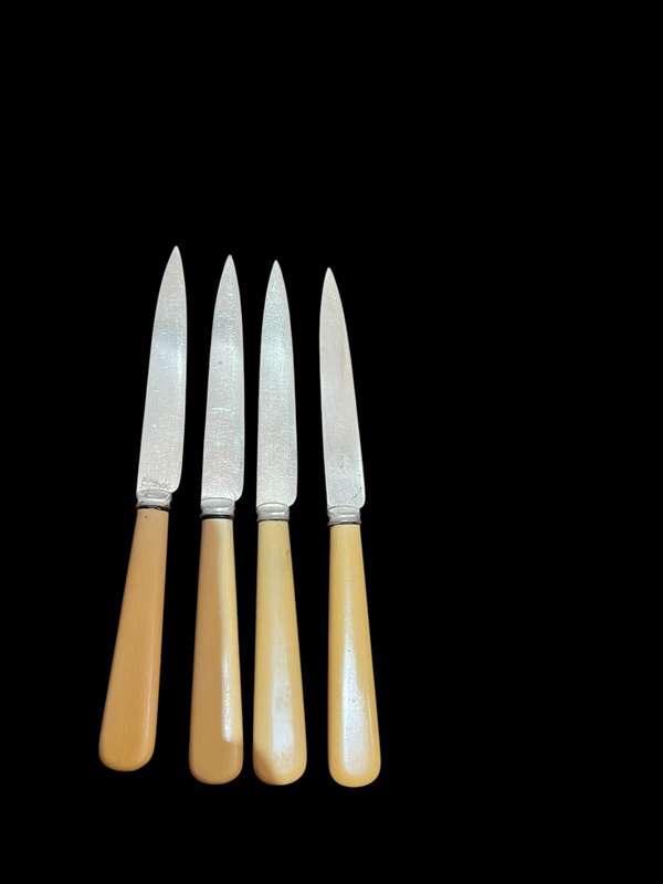 Knives bone handled(NR26)