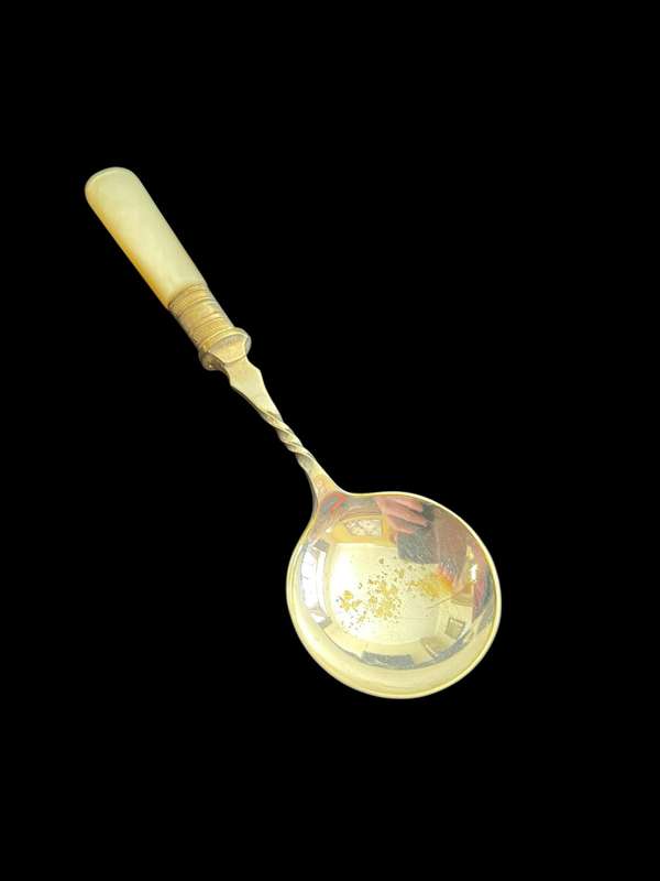 Jam/sugar spoon(NR1)