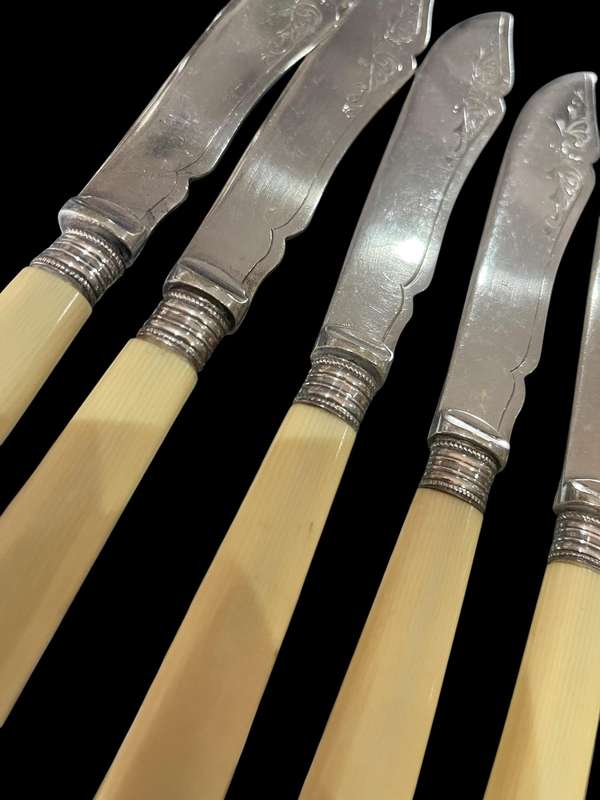 Knives bone handled(NR11)
