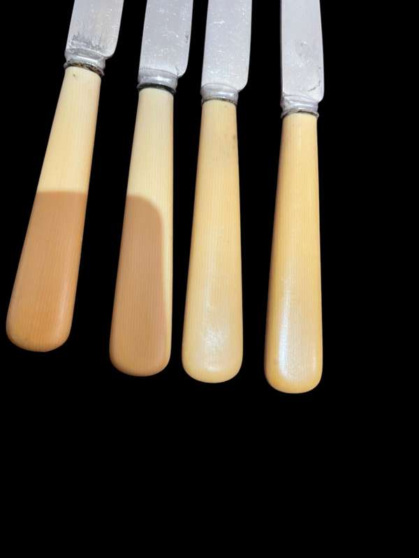 Knives bone handled(NR26)