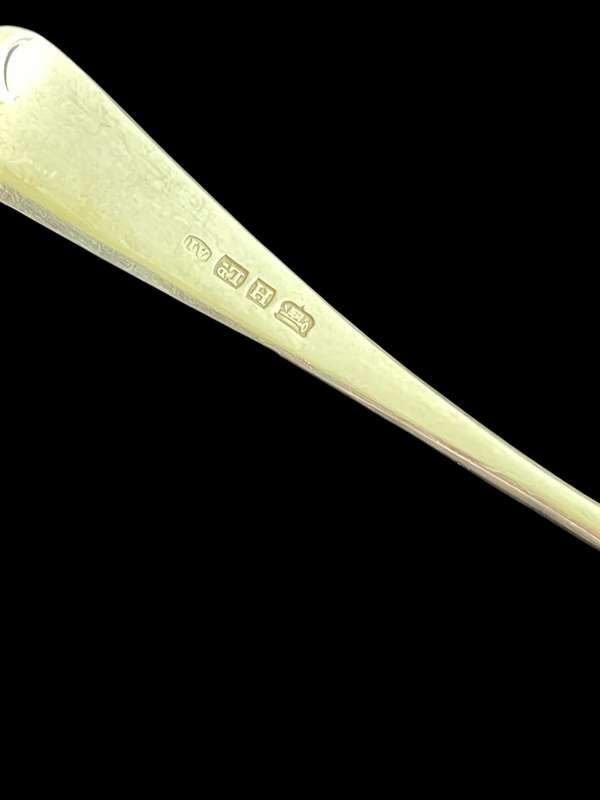 Gravy ladle(NR4)