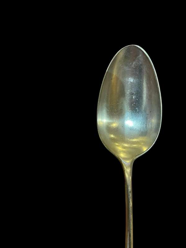 Serving spoon large(NR34)