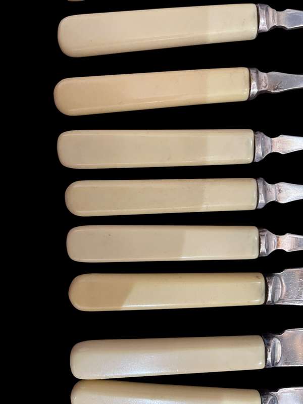 Cutlery set bone handled