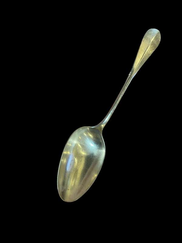 Serving spoon large(NR34)