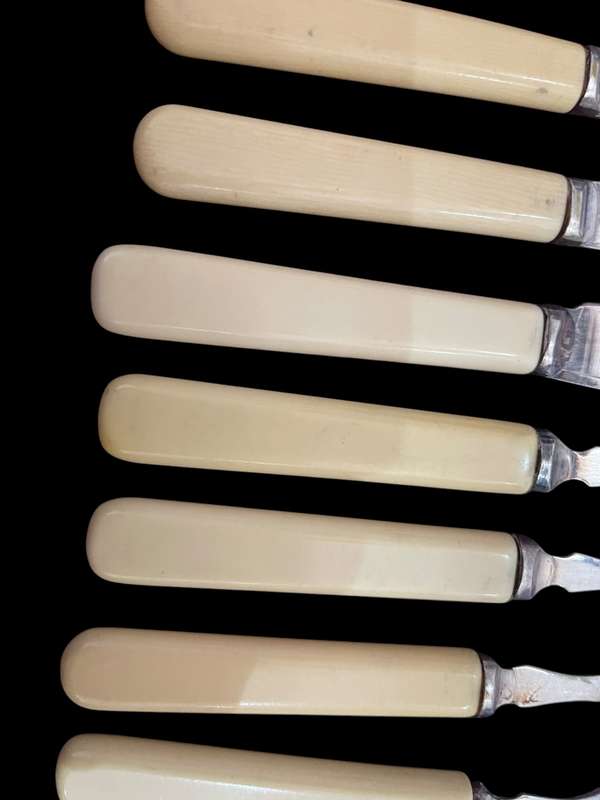 Cutlery set bone handled