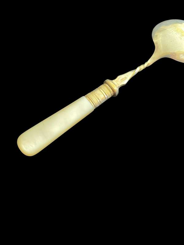 Jam/sugar spoon(NR1)