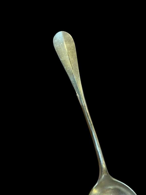 Serving spoon large(NR34)