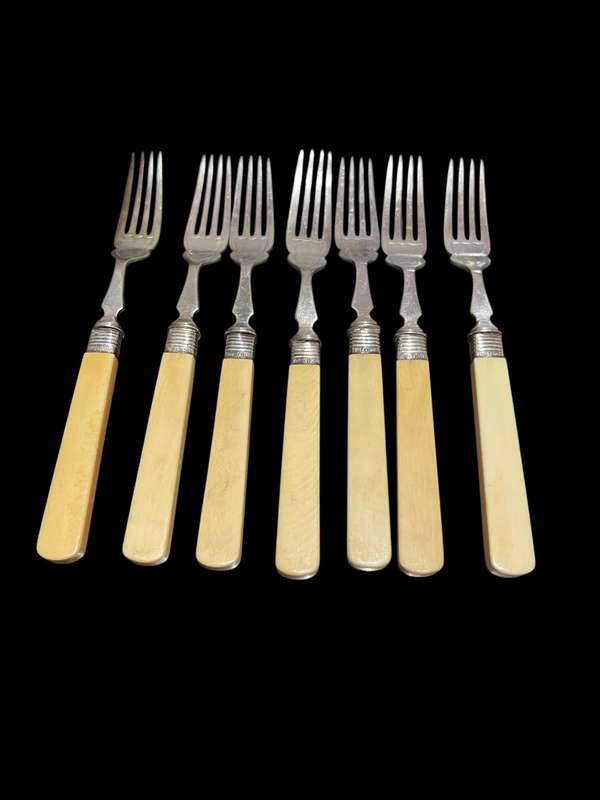 Forks bone handled sterling silver collars(NR3)