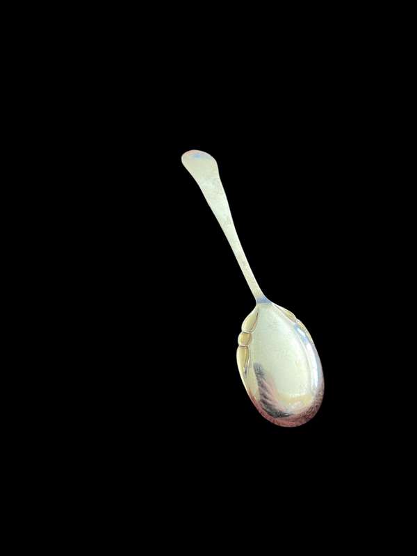 Jam/sugar spoon(NR5)