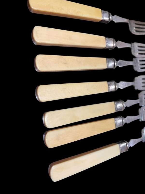 Forks bone handled sterling silver collars(NR3)