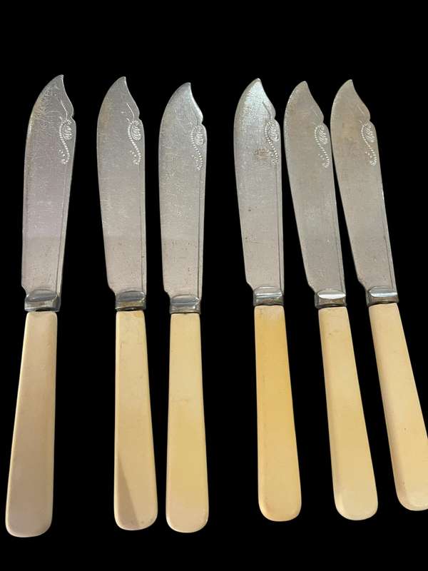 Knives bone handled(NR12)