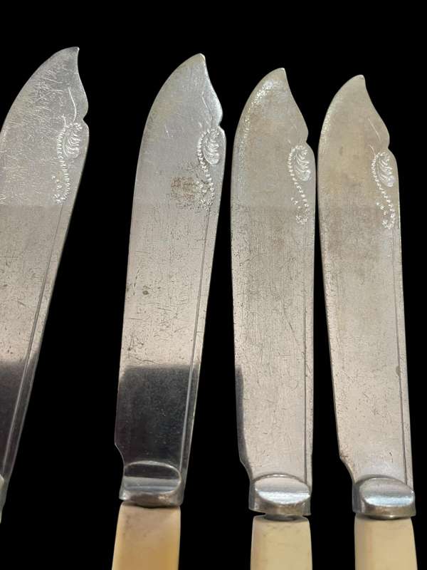 Knives bone handled(NR12)