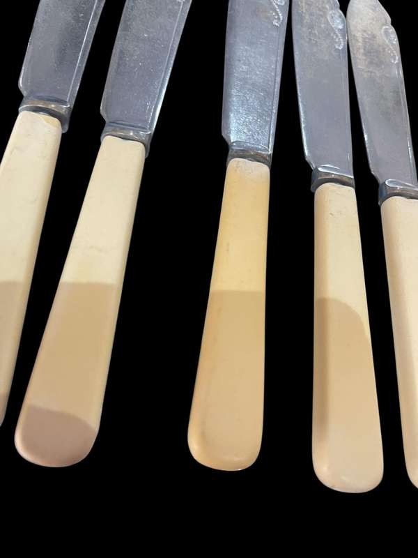 Knives bone handled(NR12)