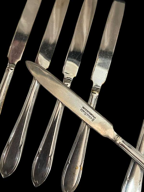Cutlery dessert/ starter set