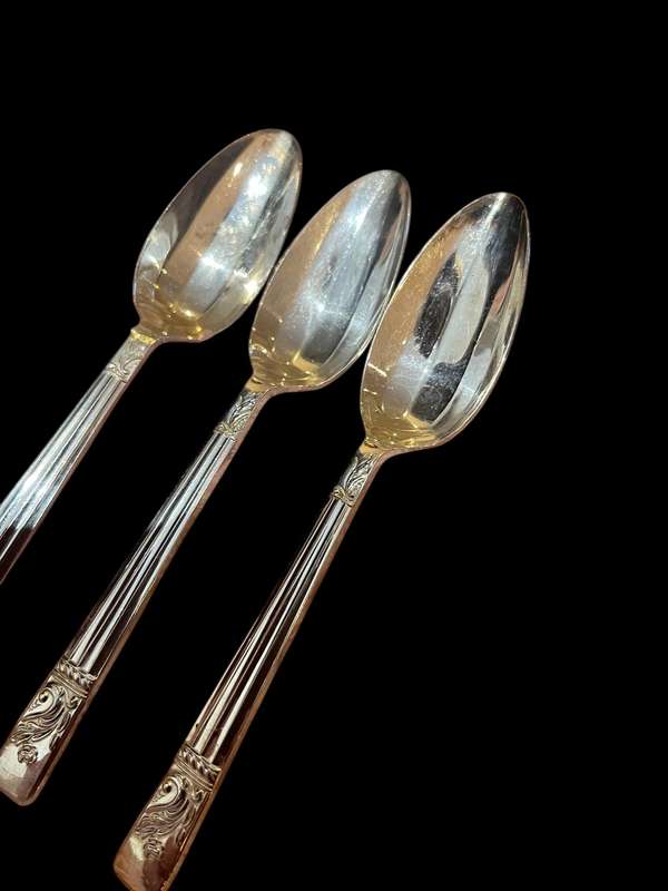 Teaspoons large(NR34)