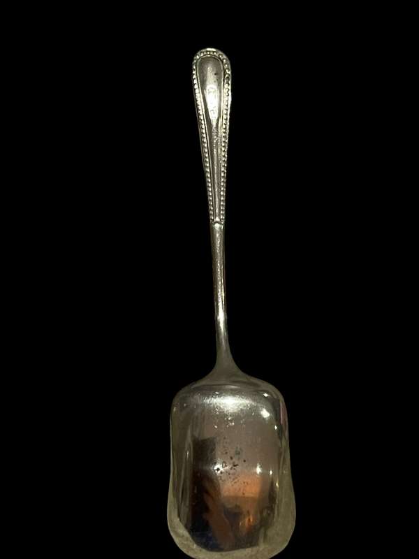 Jam/ sugar spoon(Nr2)