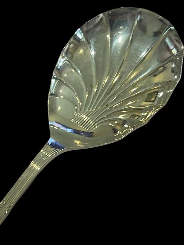 Serving spoon(NR31)
