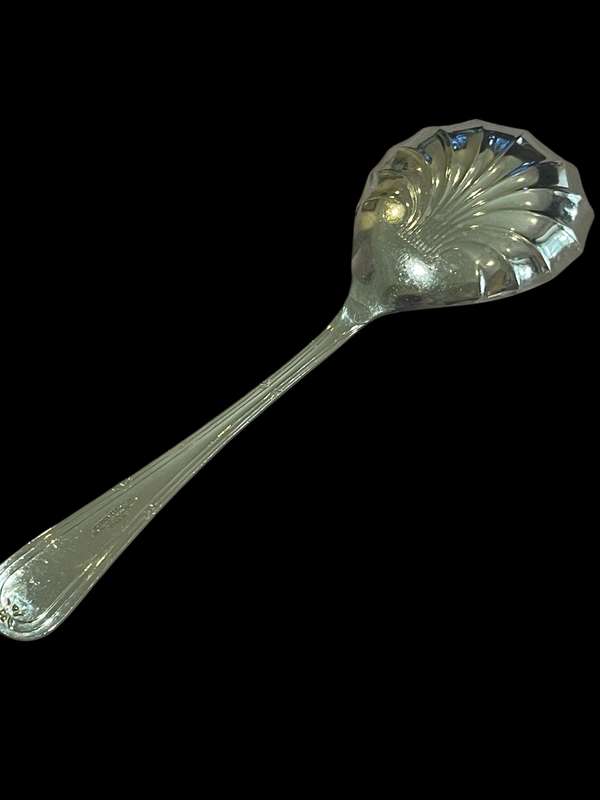 Serving spoon(NR31)