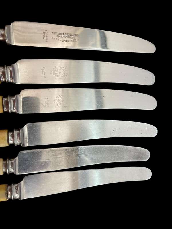 Knives bone handled(NR4)