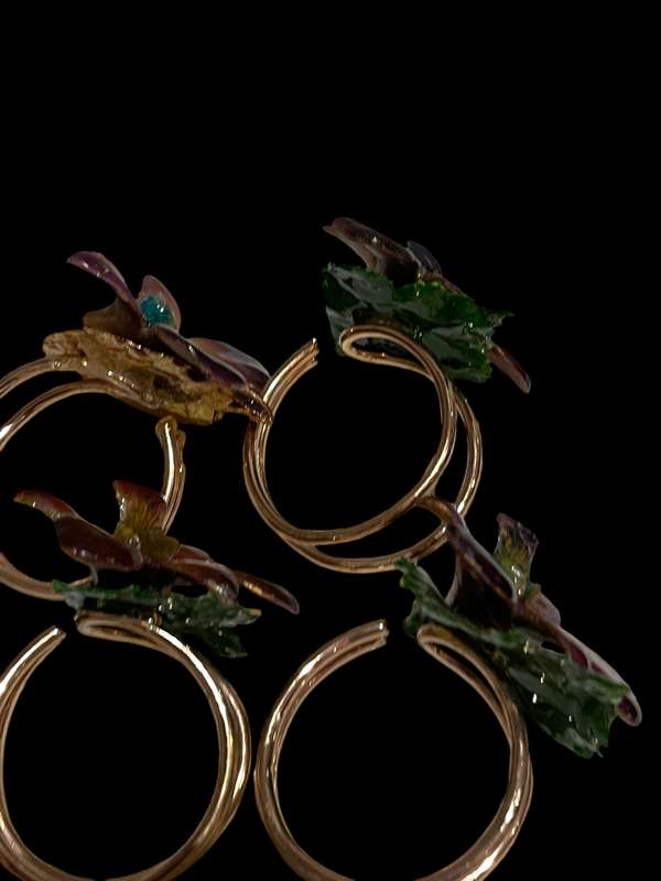 Napkin rings/holders