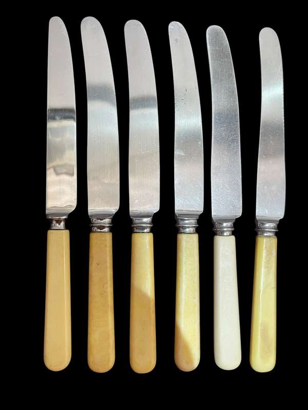 Knives bone handled(NR4)