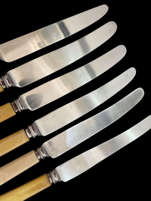 Knives bone handled(NR4)