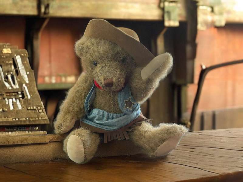 Teddy bear Cowgirl(Nr9)