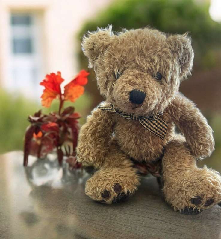 Teddy Bear Russ Wembly(Nr7)