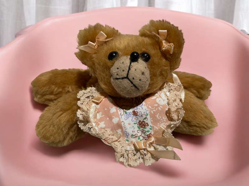 Teddy bear beanbag style(Nr11)