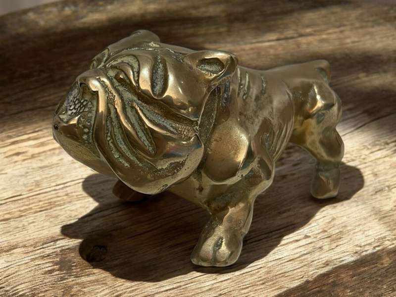 Ornament bulldog brass