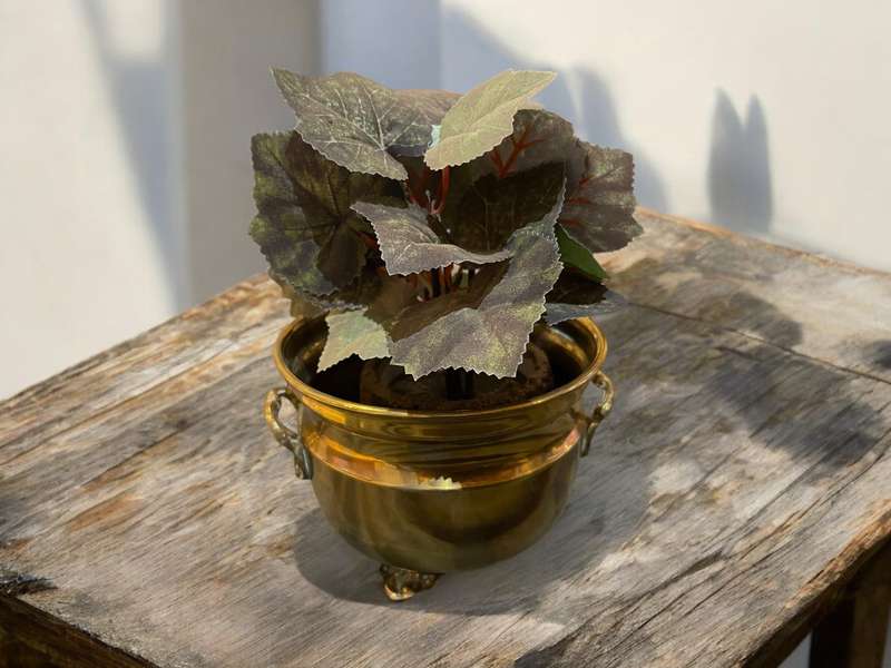 Planter brass