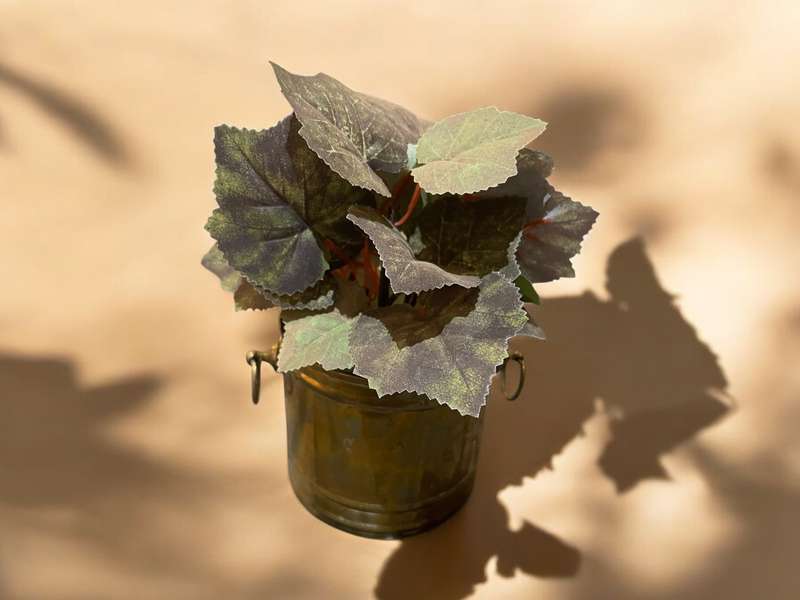 Planter brass