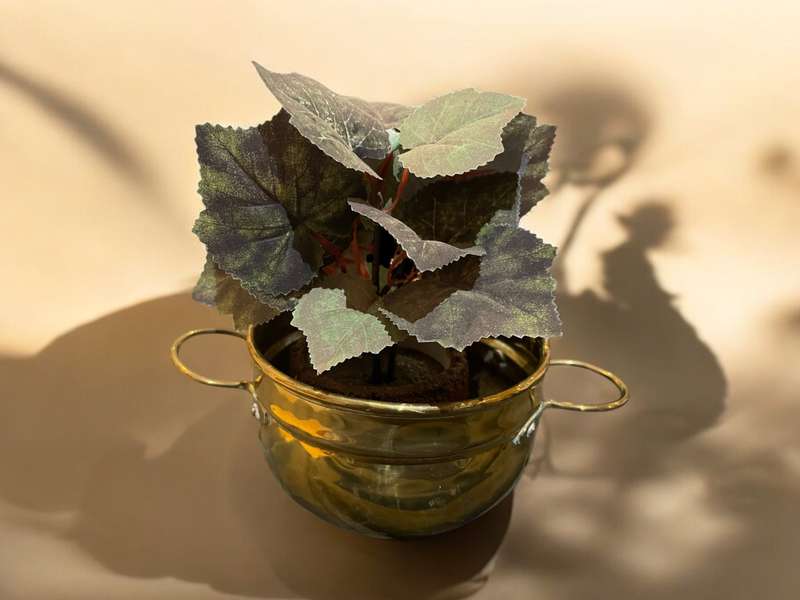 Planter brass