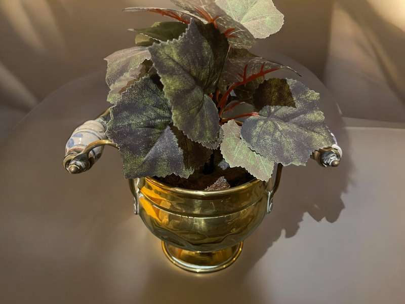 Planter/holder brass