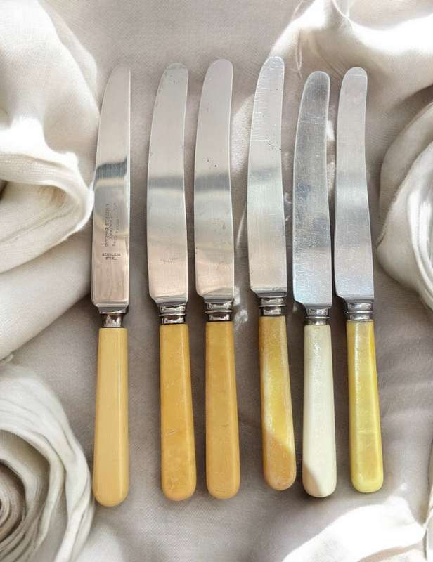 Knives bone handled(NR4)