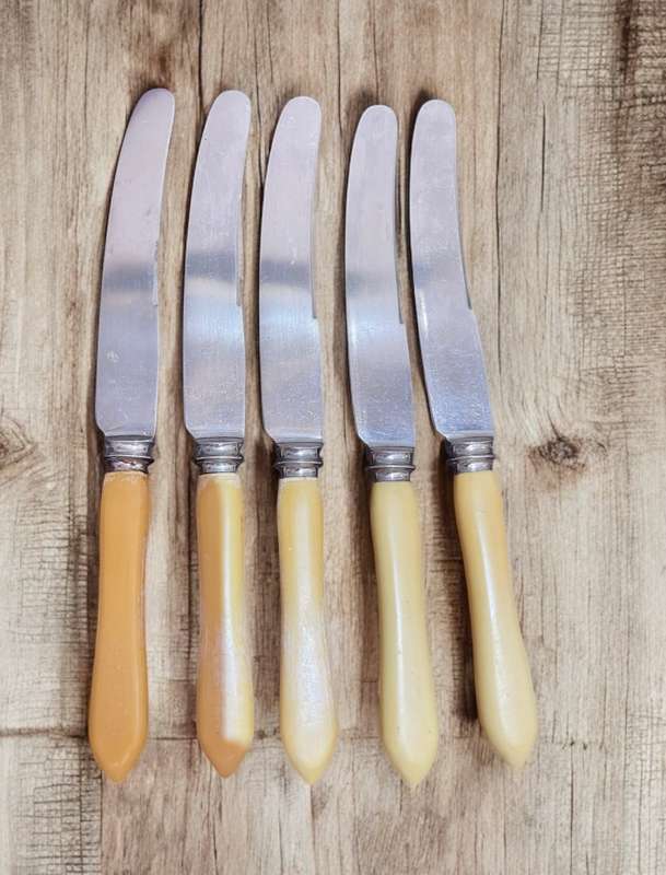 Knives bone handled(NR18)
