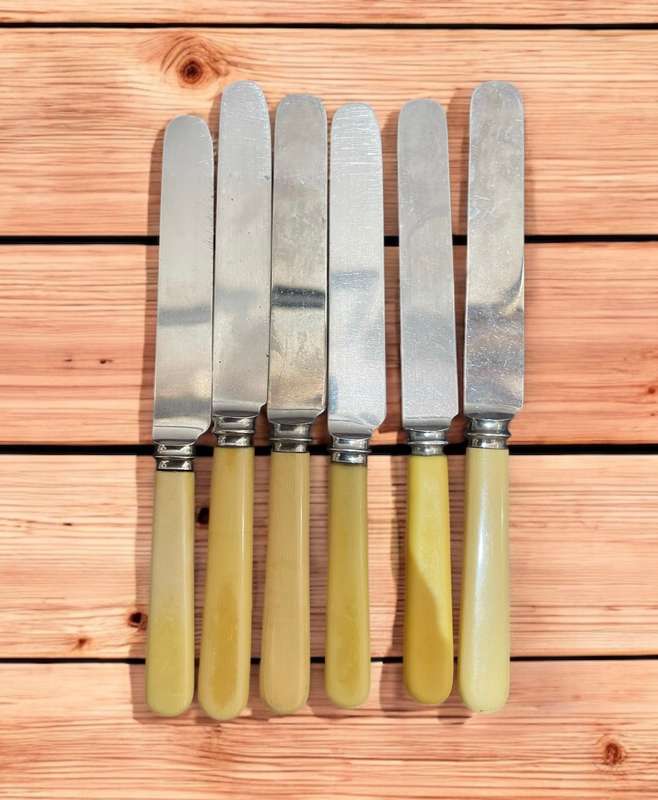 Knives bone handled(NR21)