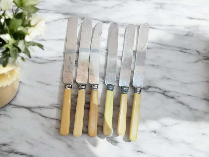Knives bone handled(NR27)
