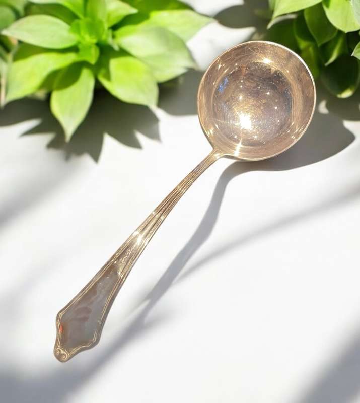Soup ladle(NR9)