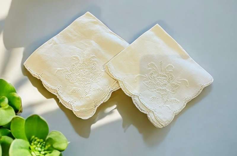 Napkins embroidered x2(NR14)