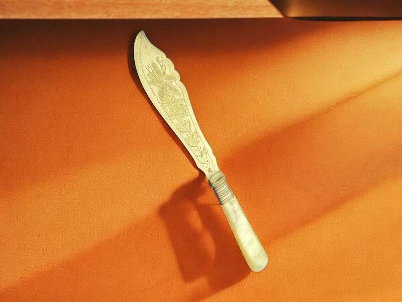 Butter/pate knife mother of pearl(NR1)