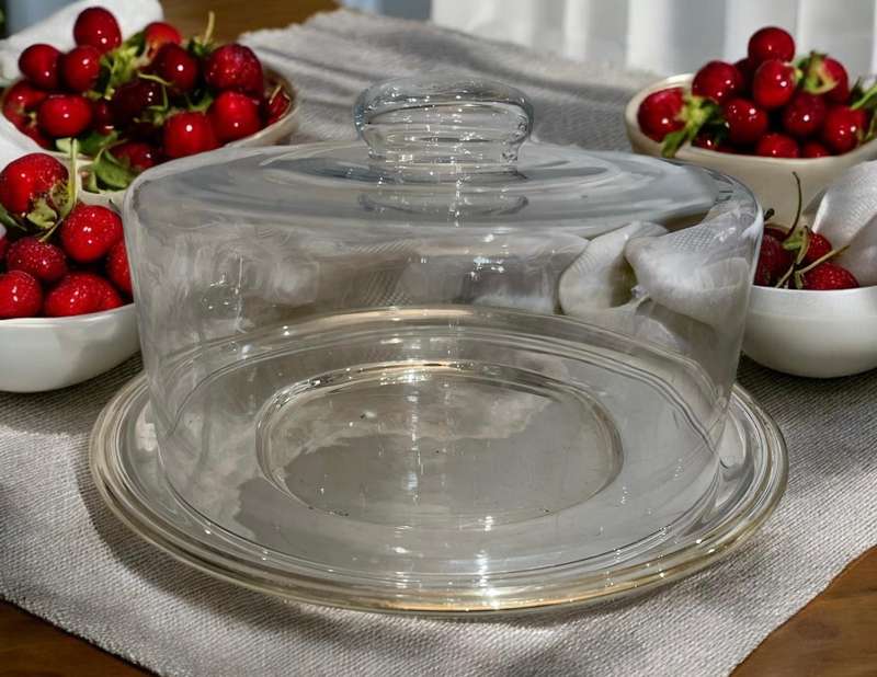 Cake cloche/dome base