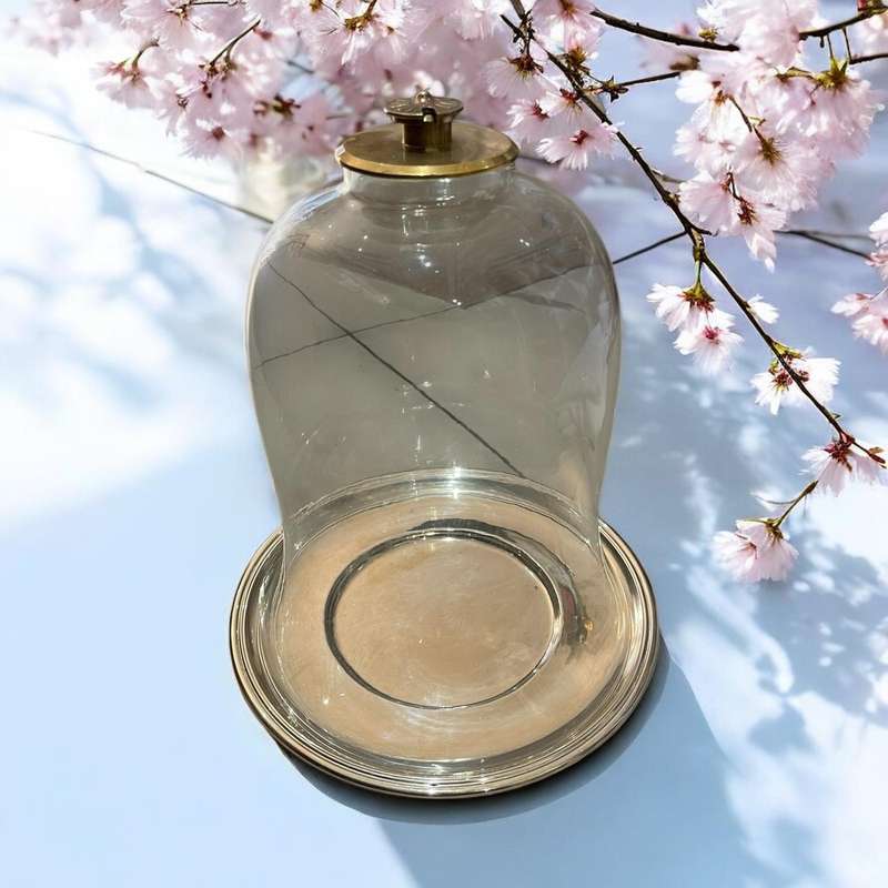 Cake cloche base